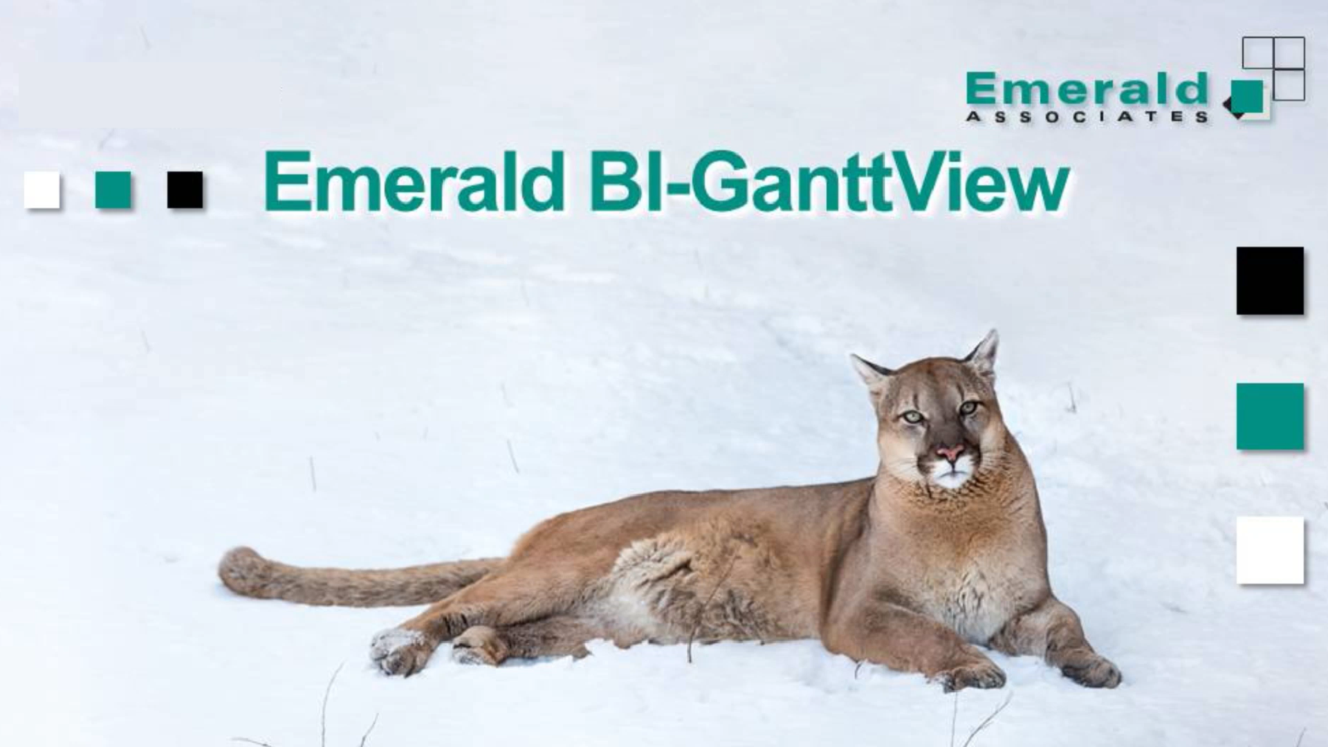 Emerald Associates Unveils BI-GanttView- A Powerful Gantt Chart Visual for Power BI