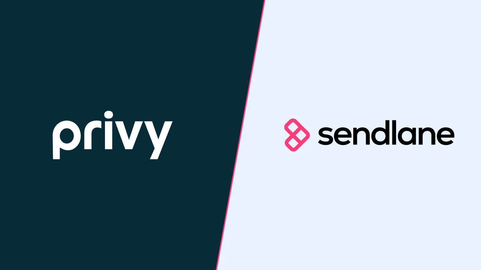 Privy Probe Privy Acquires Sendlane to Strengthen Its Position as an Ecommerce ...