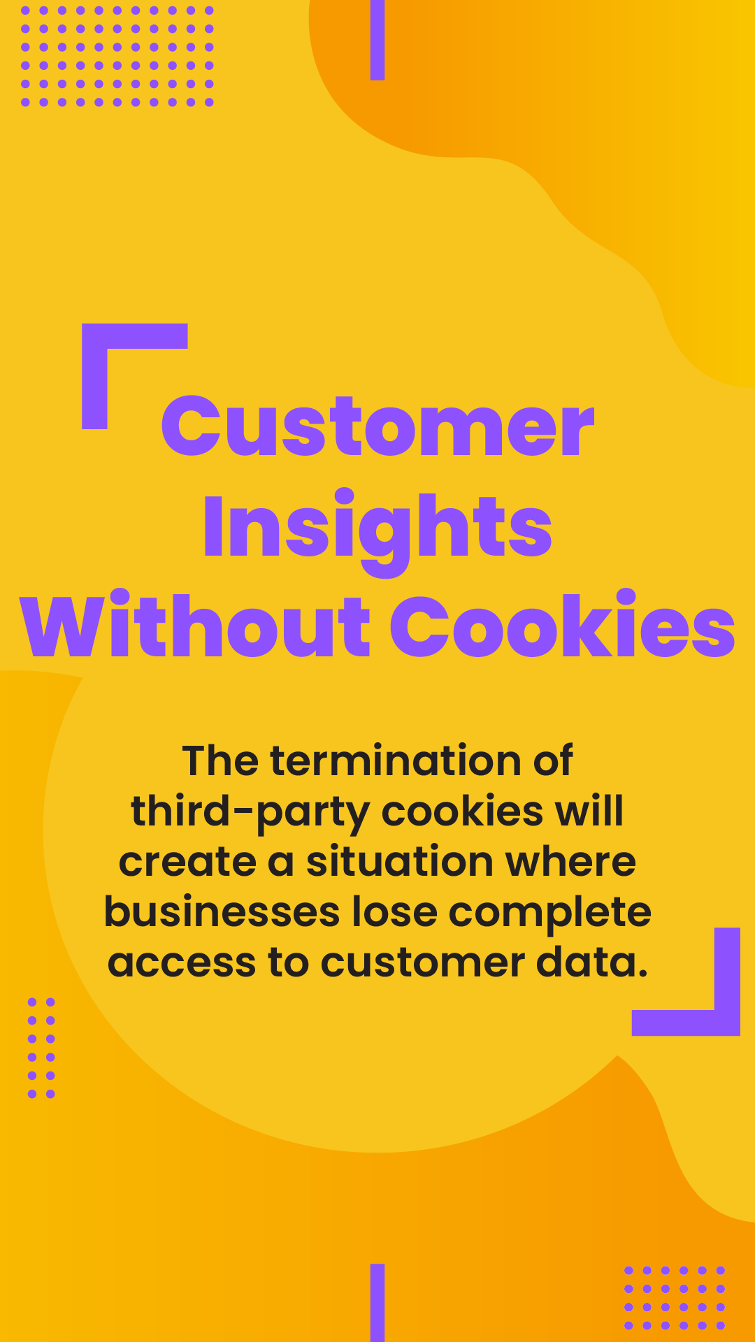 Customer Insights Without Cookies-01